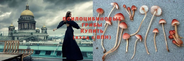 бошки Абинск